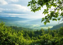 Ingredienti naturali per la bellezza scandinava