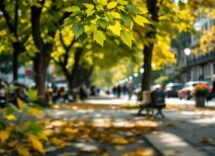 Giovane donna che utilizza un social media sullo smartphone